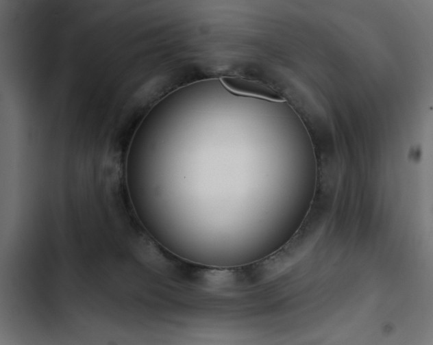 X0000103490085200809121725