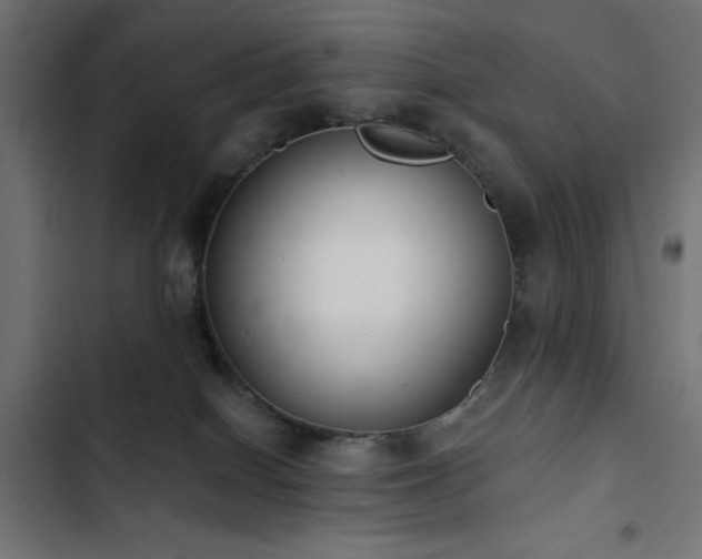 X0000103490086200809121725