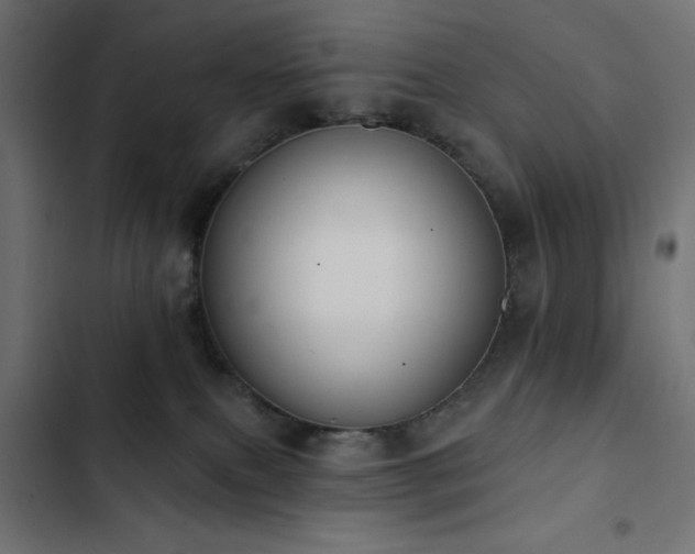 X0000103490087200809121725