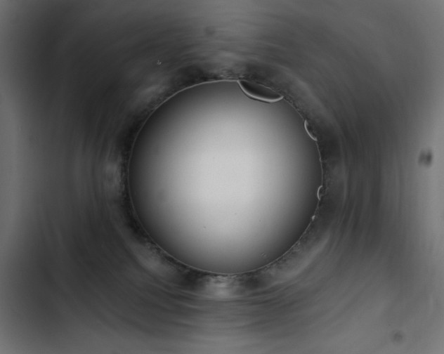 X0000103490088200809121725