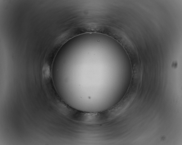 X0000103490089200809121725