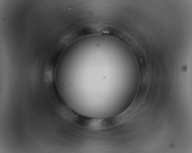 X0000103490090200809121725