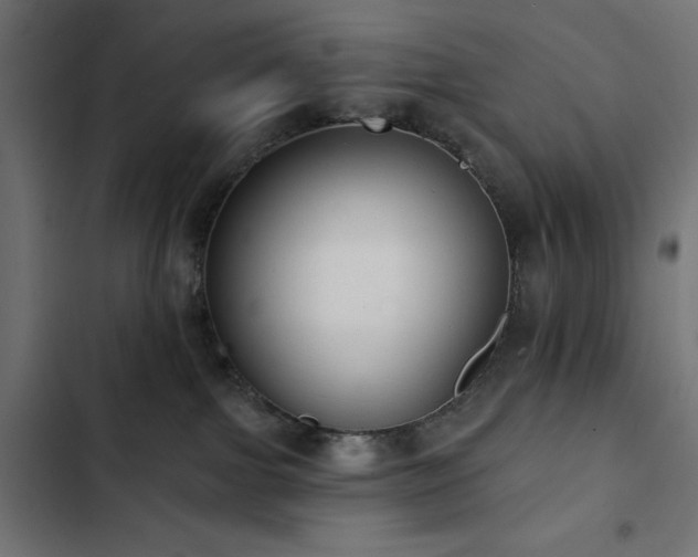 X0000103490091200809121725