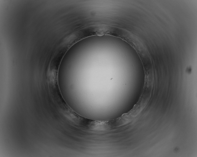 X0000103490093200809121725