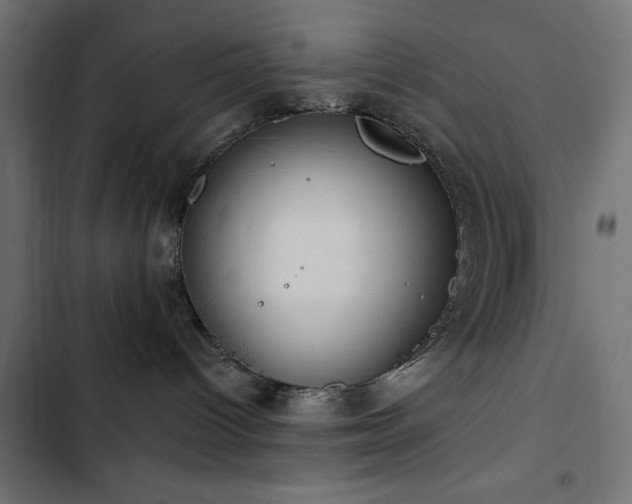 X0000103490096200809121725