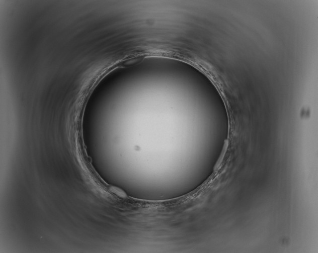 X0000103490097200809121724