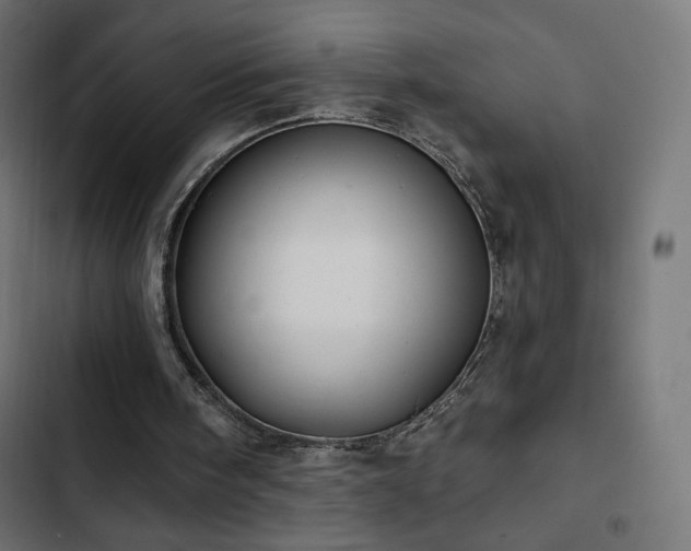 X0000103490098200809121724