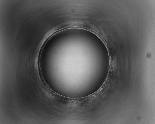 X0000103490099200809121724