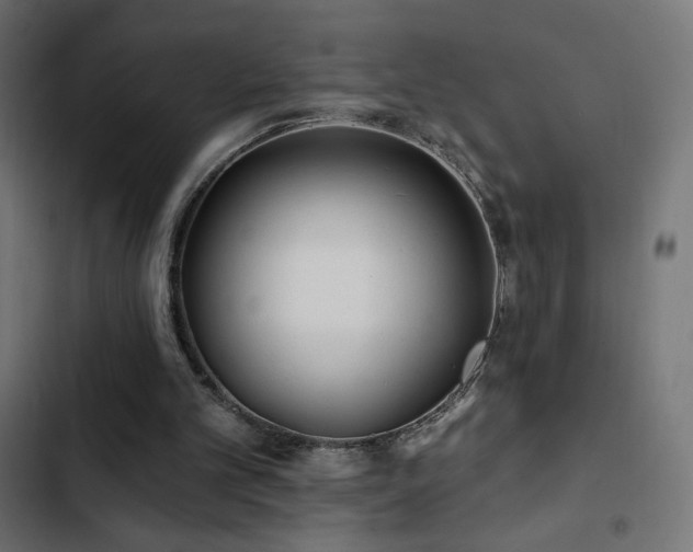 X0000103490101200809121724