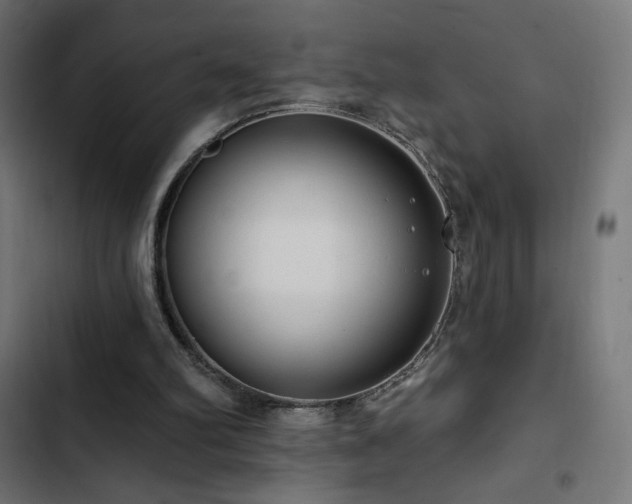 X0000103490102200809121724