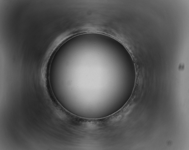 X0000103490103200809121724