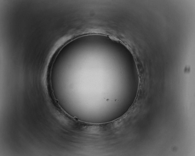 X0000103490104200809121724