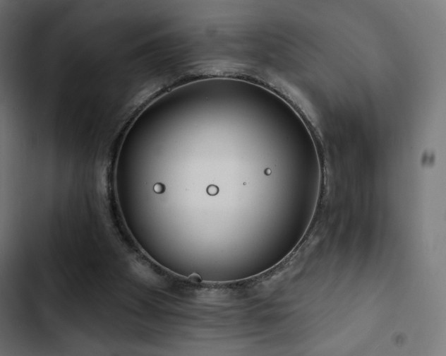 X0000103490105200809121724