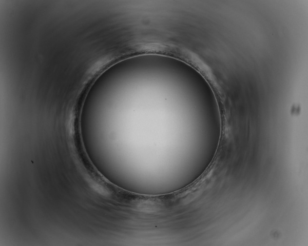 X0000103490106200809121724