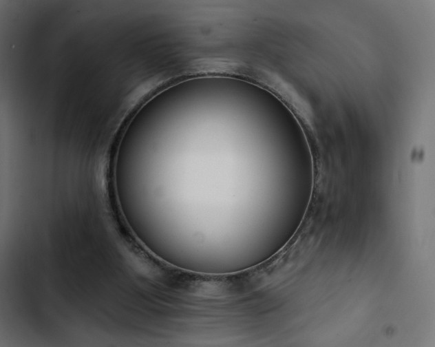 X0000103490107200809121724