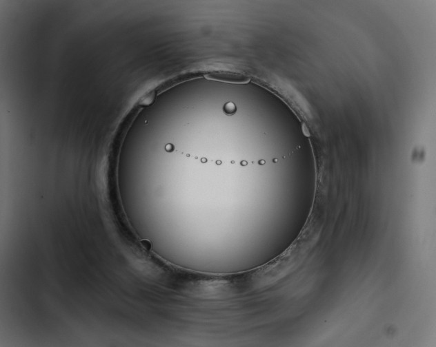 X0000103490108200809121724