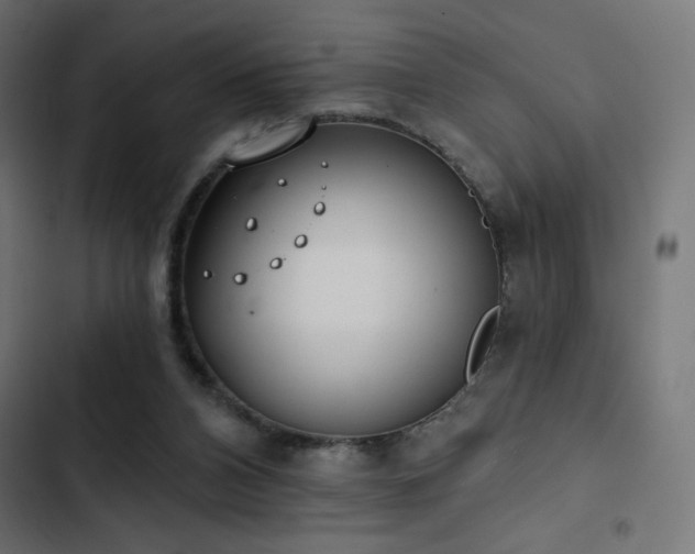 X0000103490112200809121724