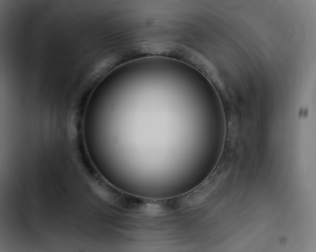 X0000103490114200809121724