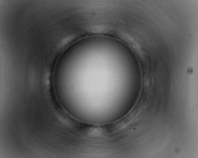 X0000103490115200809121724