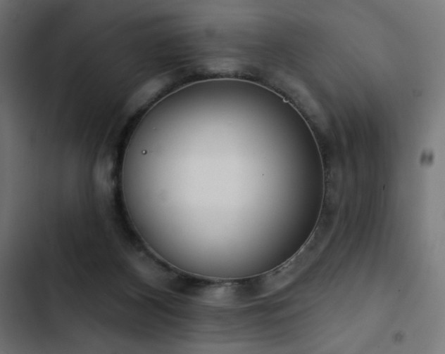 X0000103490116200809121724