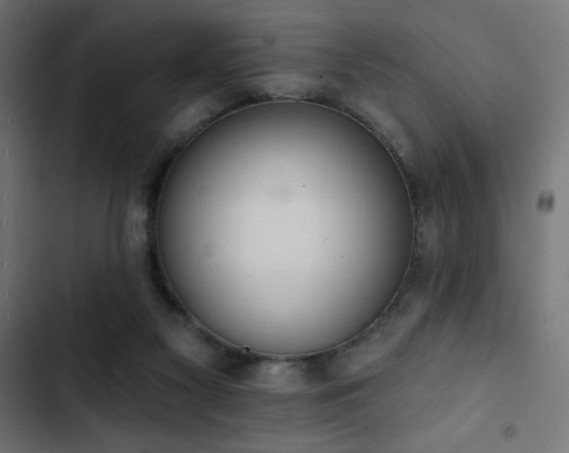 X0000103490117200809121724