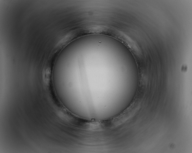 X0000103490118200809121724