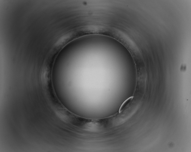 X0000103490119200809121724