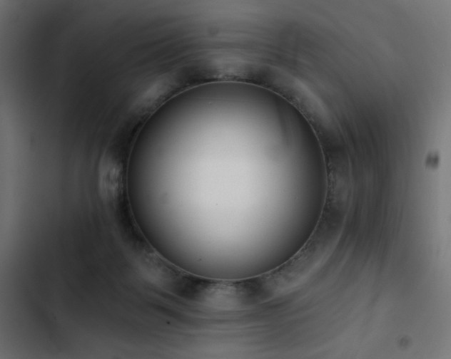 X0000103490123200809121724