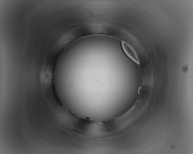 X0000103490124200809121724