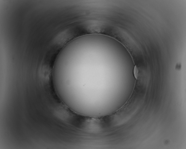 X0000103490125200809121724