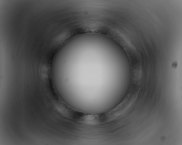 X0000103490126200809121724