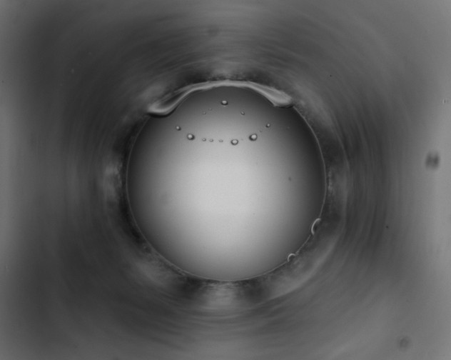 X0000103490127200809121724