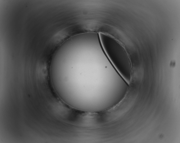 X0000103490128200809121724