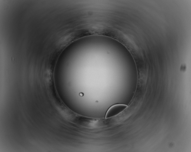 X0000103490130200809121724