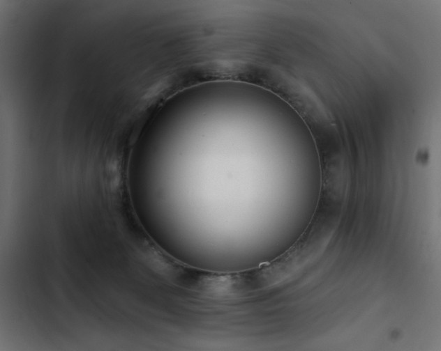 X0000103490131200809121724