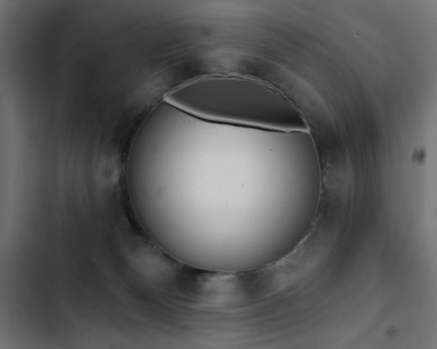 X0000103490132200809121724