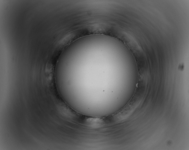 X0000103490133200809121724