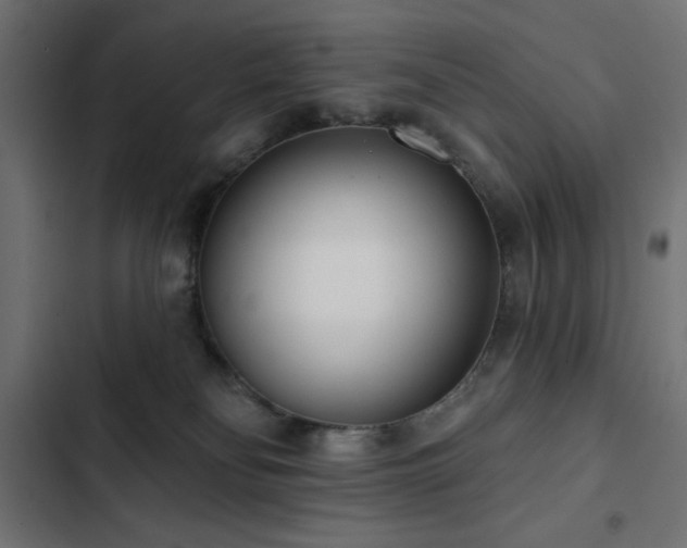 X0000103490134200809121724