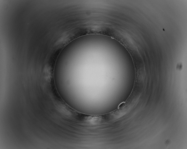 X0000103490135200809121724