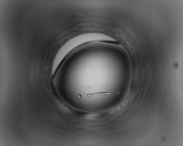 X0000103490136200809121724