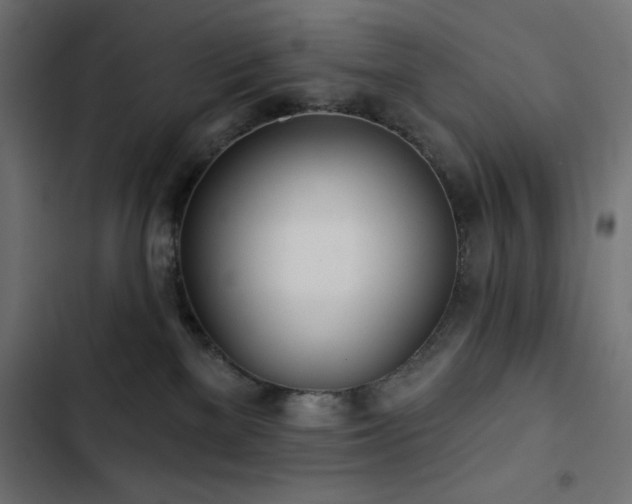 X0000103490137200809121724