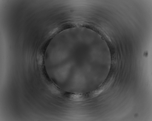 X0000103490139200809121724