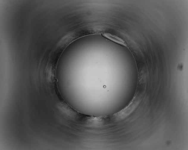 X0000103490140200809121724