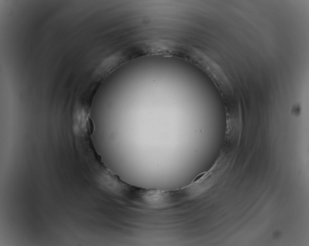 X0000103490142200809121724