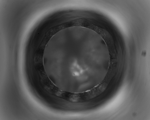 X0000103490143200809121723