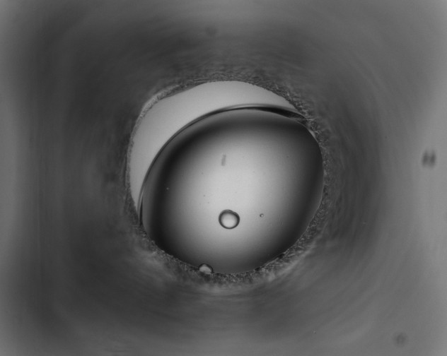 X0000103490144200809121723