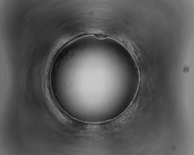 X0000103490145200809121723