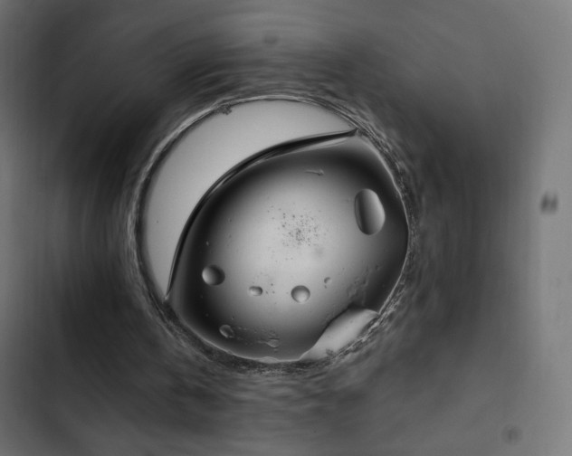 X0000103490146200809121723