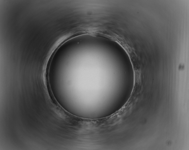 X0000103490147200809121723