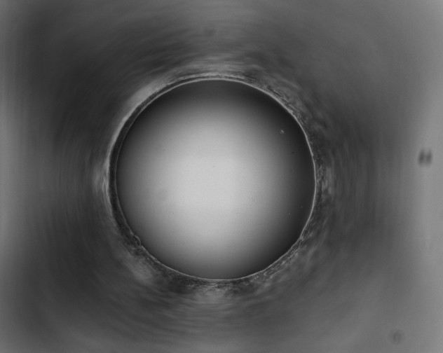 X0000103490148200809121723